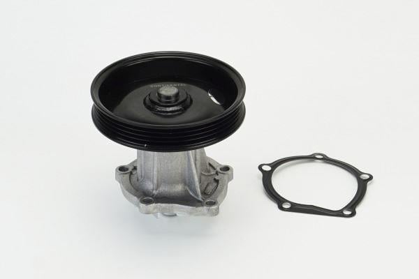 WPS3208 Water Pump