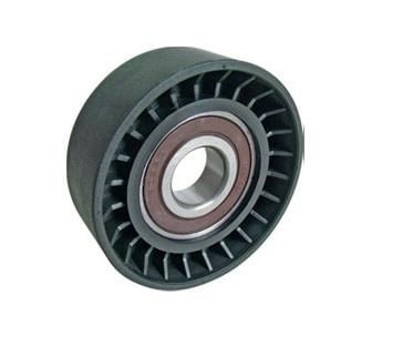 x ALTERNATÖR GERGİ RULMANI CLIO-KNG DZ 1.5