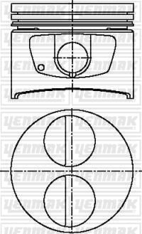 x MOTOR PİSTON SEGMAN STD OMEGA A 2.6İ- SENATOR B 2.6İ- CARLTON III 2.6İ-C 2-6 NE