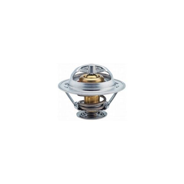 x TERMOSTAT MASTER 2.5 D-2.5 TD-2.8 DTI 76C V2057 TH3309.74J