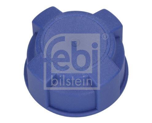 YEDEK SU DEPO KAPAĞI GENLEŞME ŞİŞESİ BOXER-JUMPER-DOBLO-FIORINO-LINEA-GRANDE PUNTO-500-BRAVO