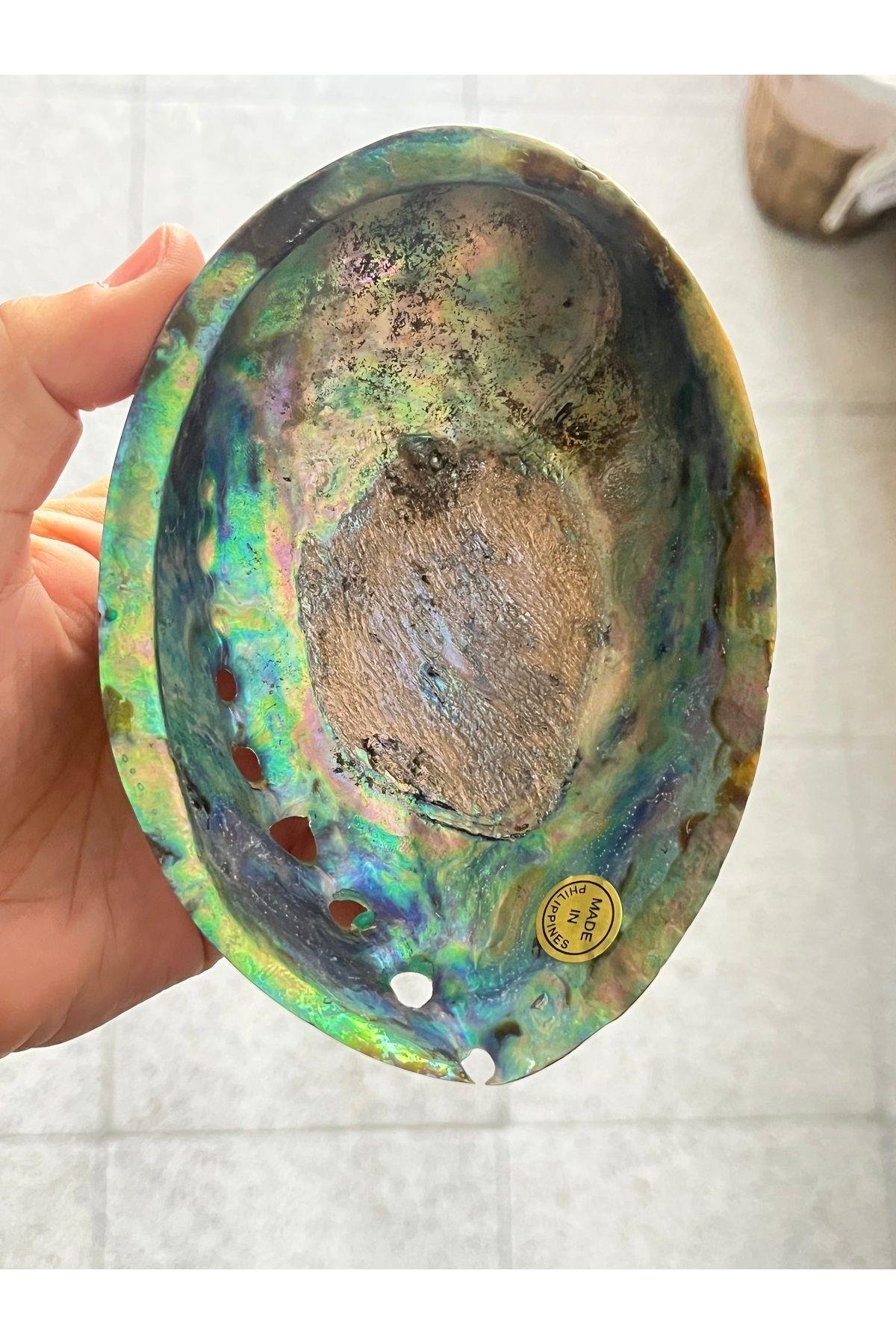 Paua Sedef Kabuk Filipinler