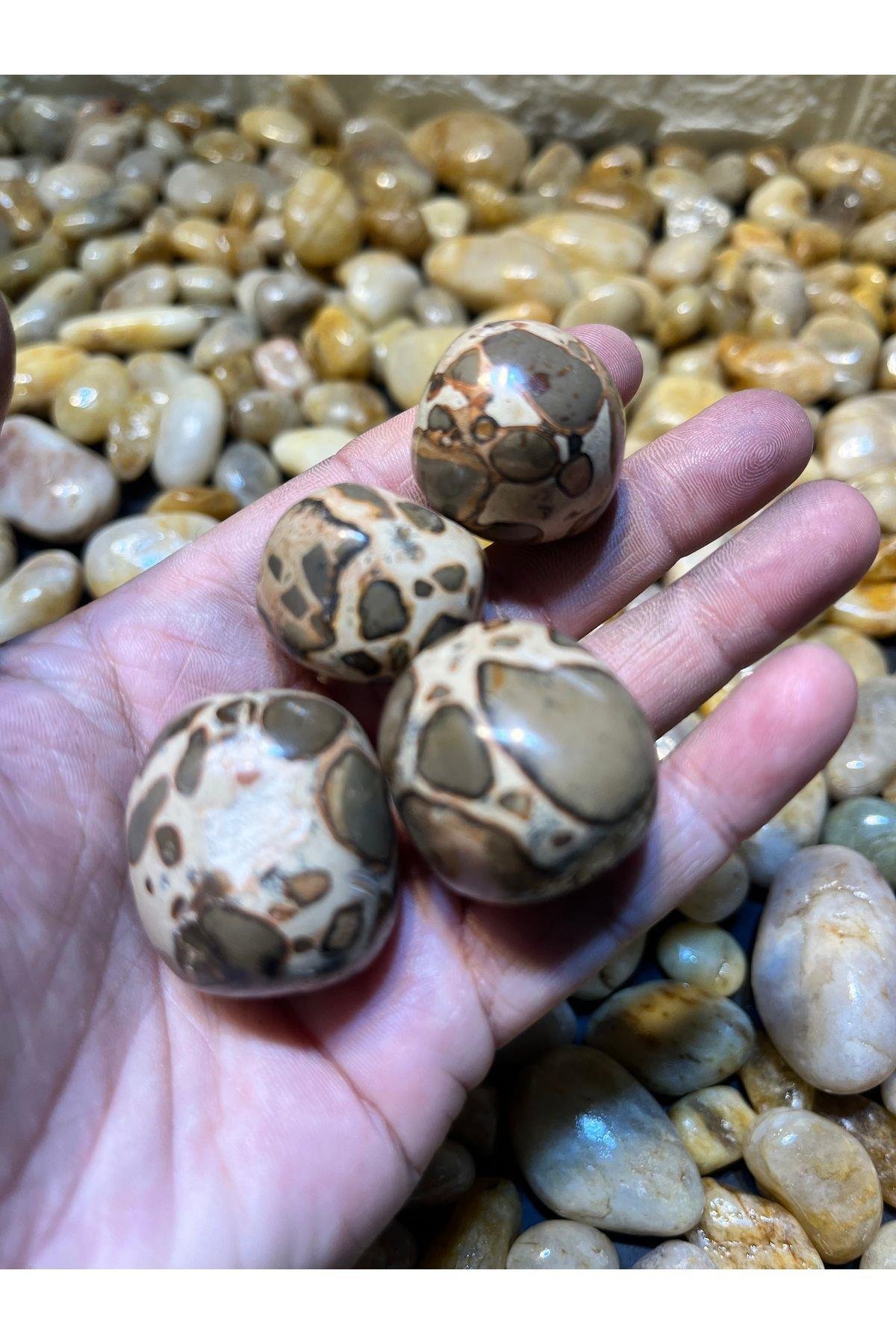 Septeryan Doğaltaş AA kalite Tambur