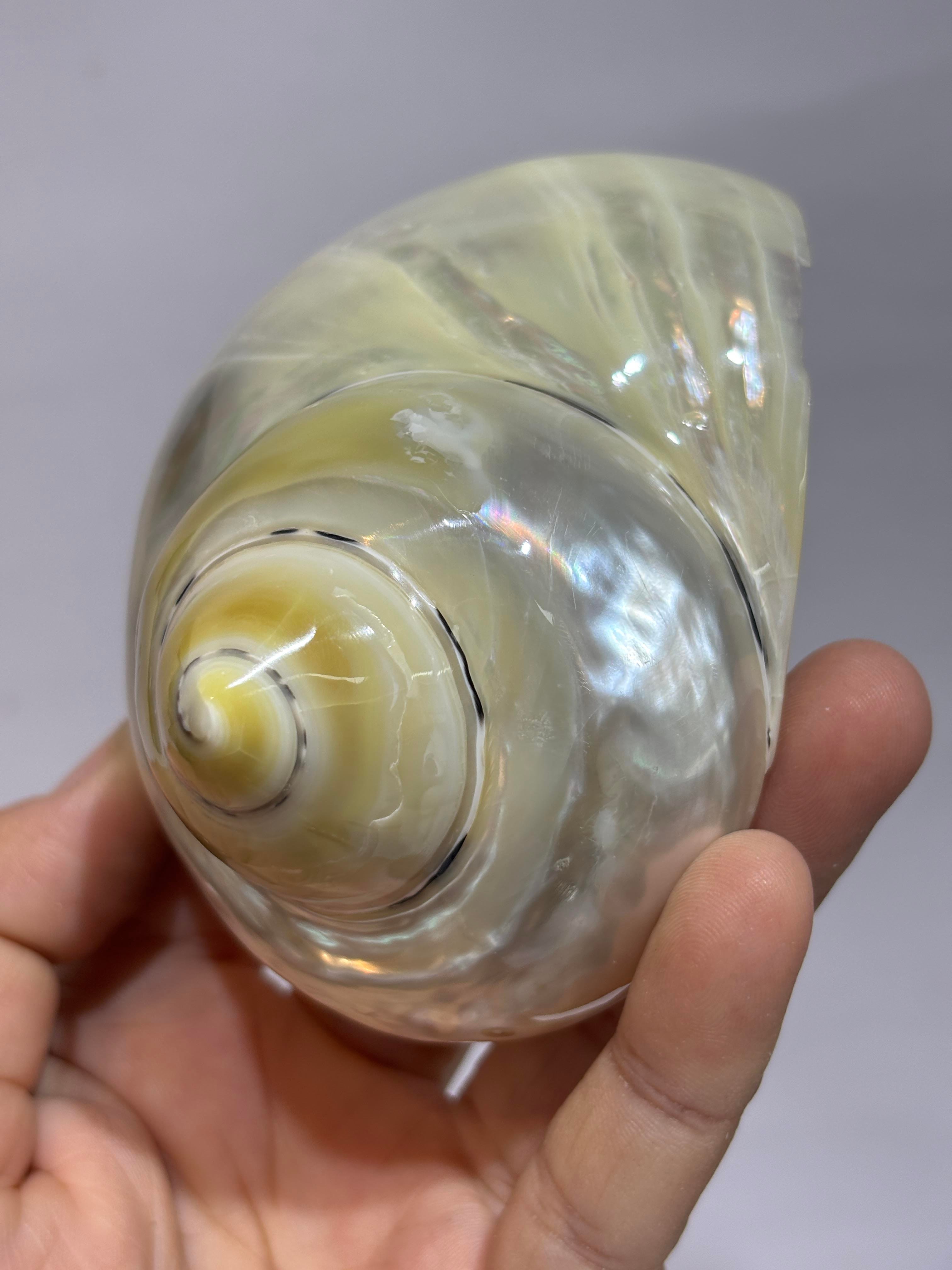 TURBO BURGES SEDEFLİ