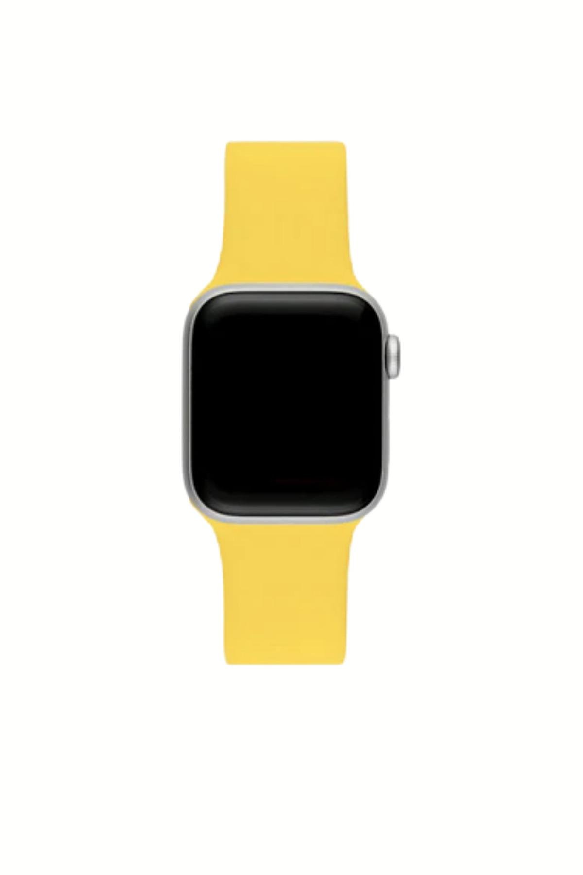 apple-watch-uyumlu-seri-123456se789-38-36-5fb.jpg