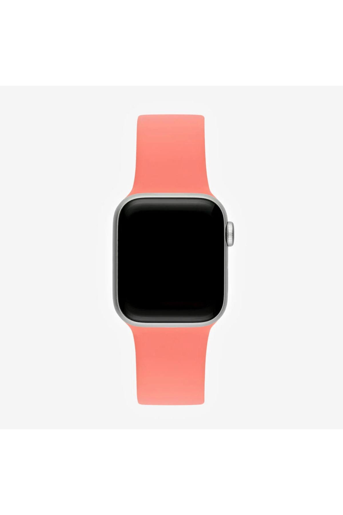 apple-watch-uyumlu-seri-123456se789-38-77-a35.jpg