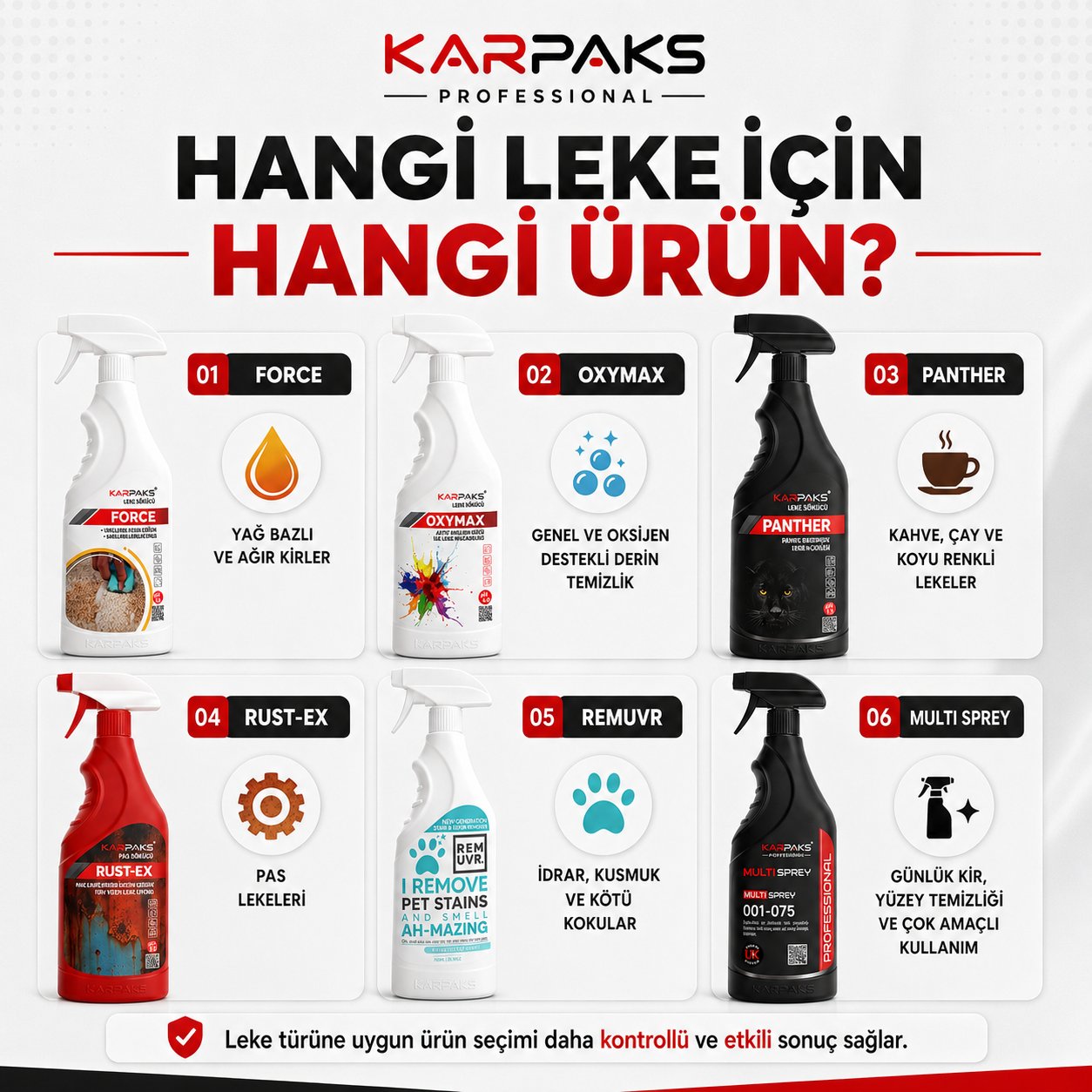 Karpaks Professional 6'lı Leke Sökücü Fırsat Paketi