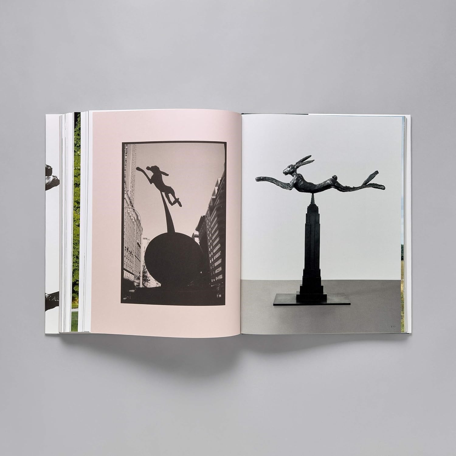 Barry Flanagan Kitap