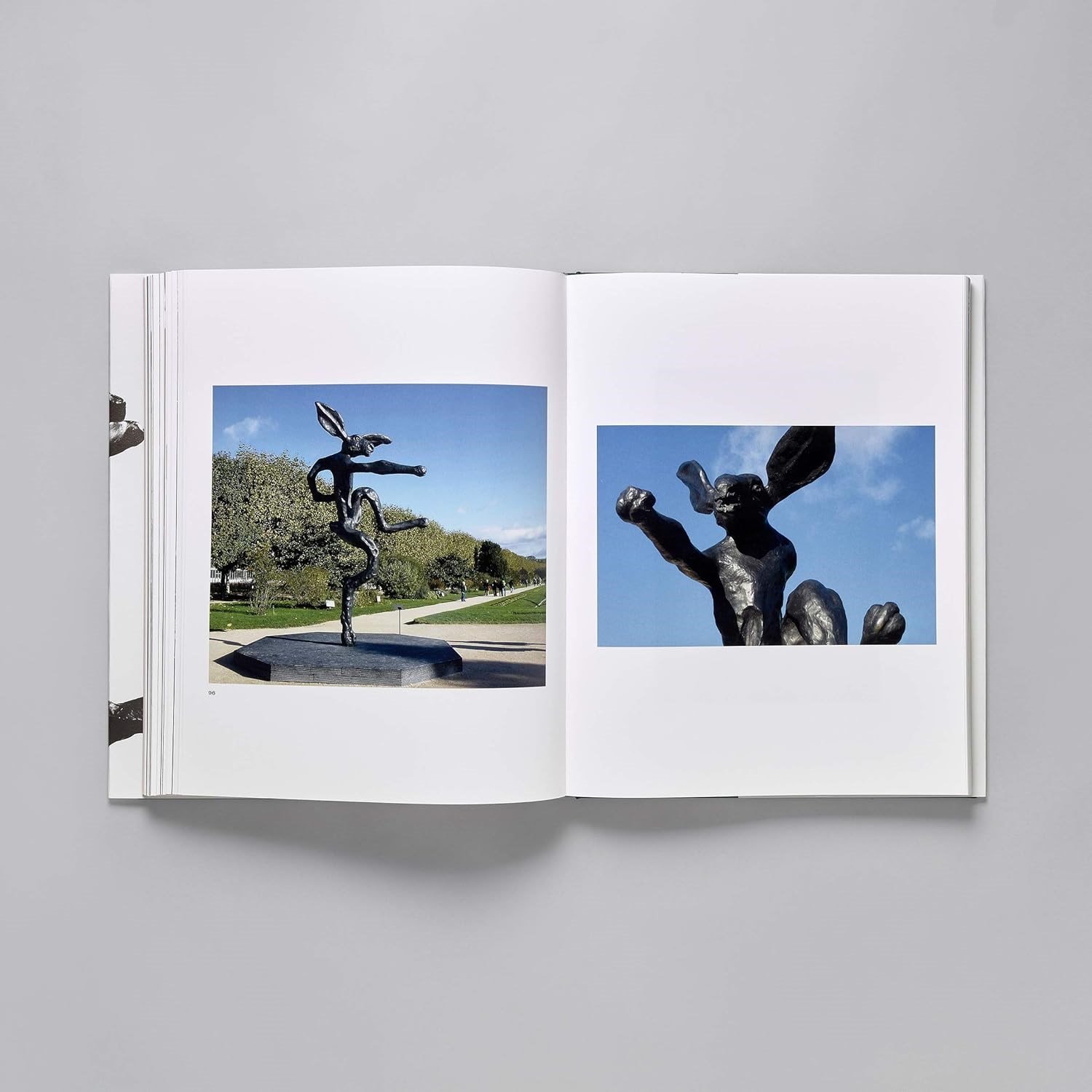 Barry Flanagan Kitap