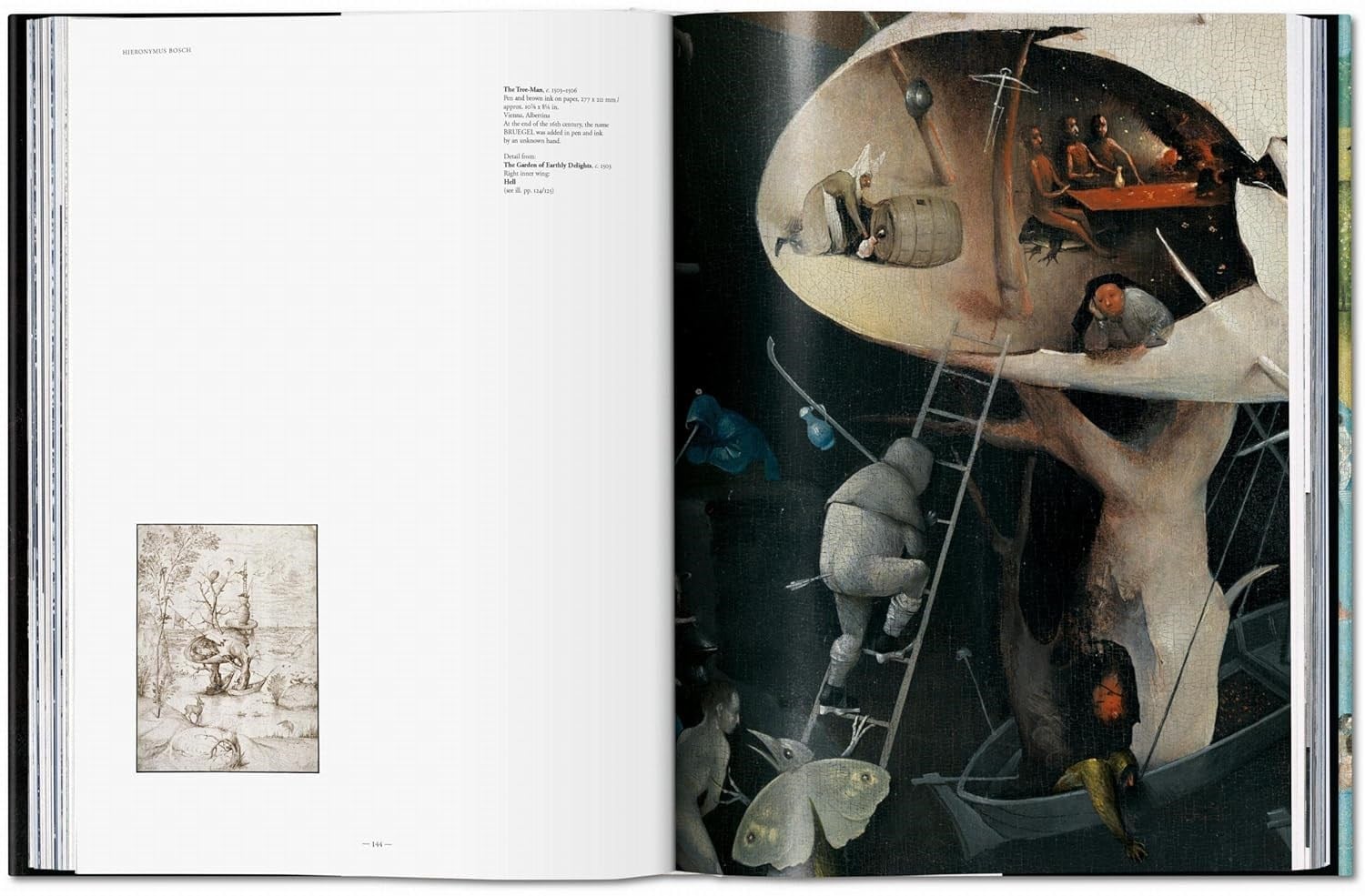 Bosch Kitap