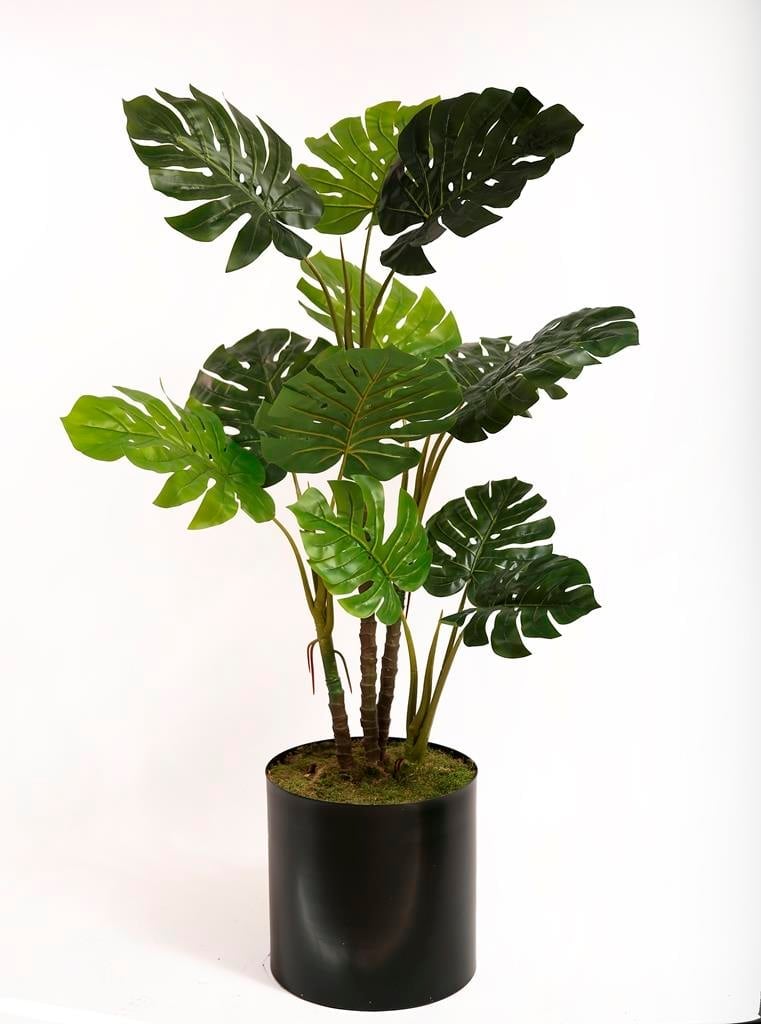 ÇİNPA 0103516-MONSTERA REAL TOUCH 160CM ÜRETİM SAKSI