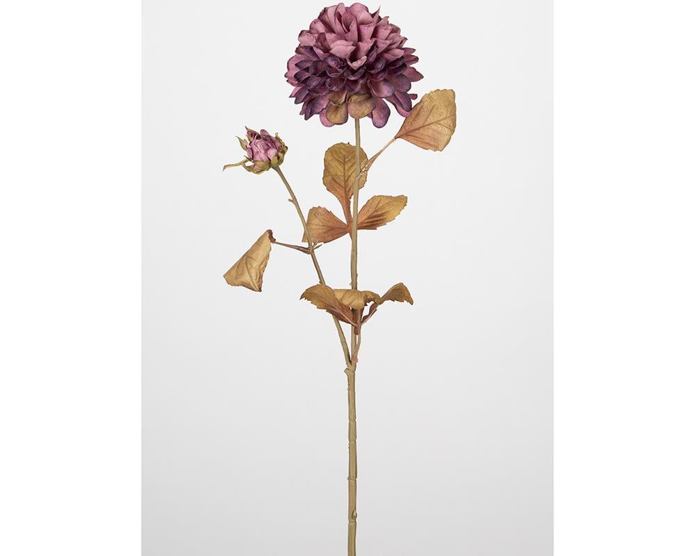 ÇİNPA KASIMPATI 72 CM