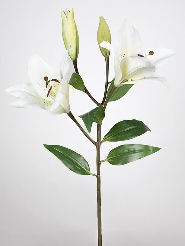 ÇİNPA LİLYUM 75 CM