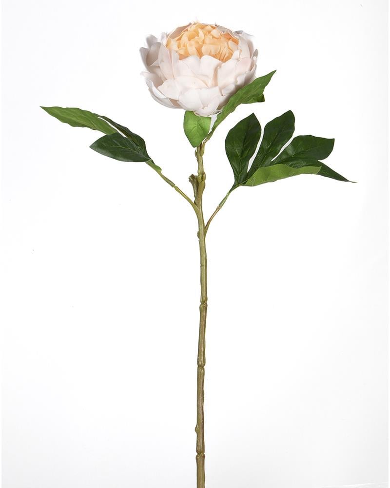 ÇİNPA ŞAKAYIK 58CM