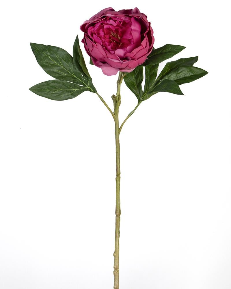 ÇİNPA ŞAKAYIK 58CM