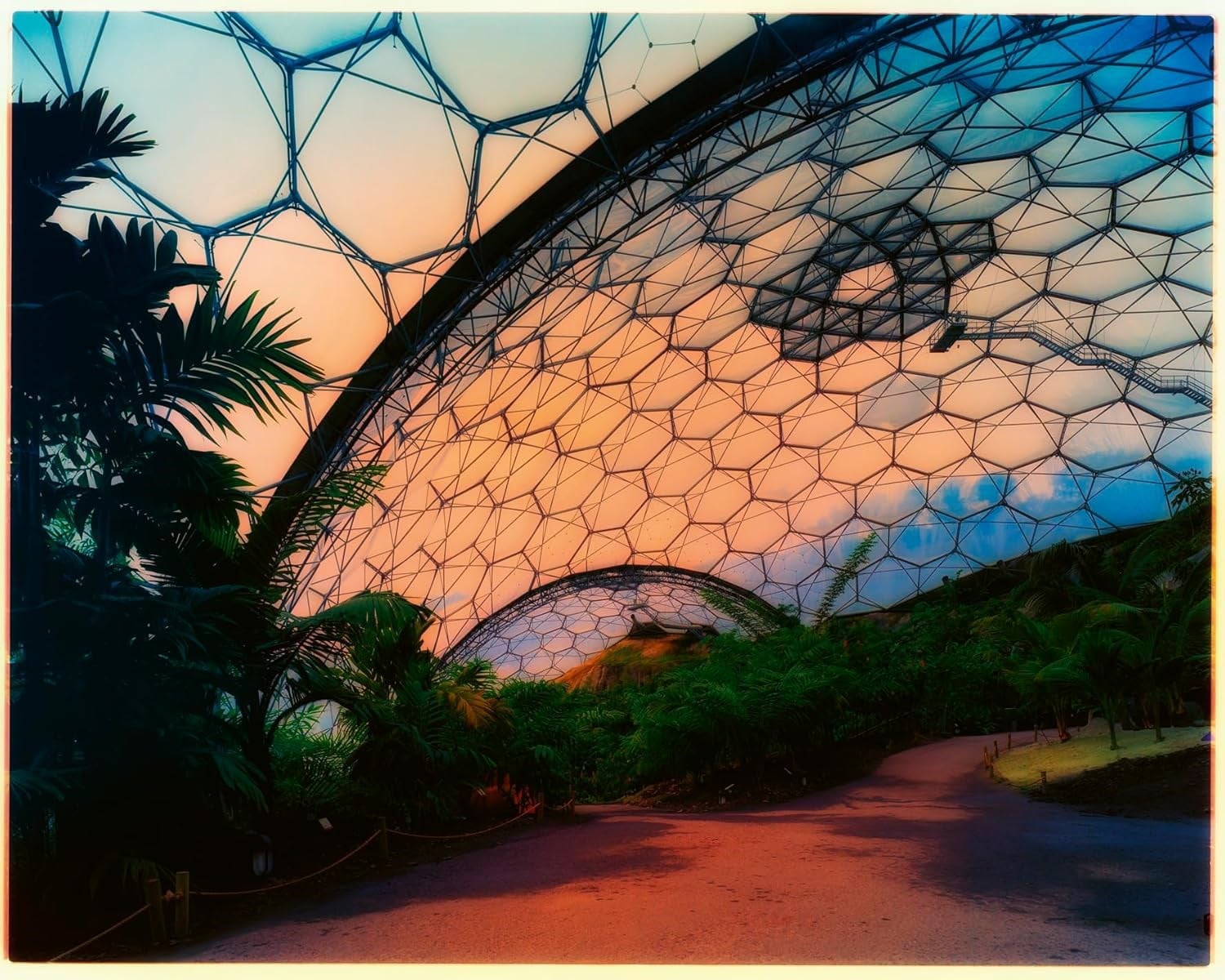 Green Houses Kitap