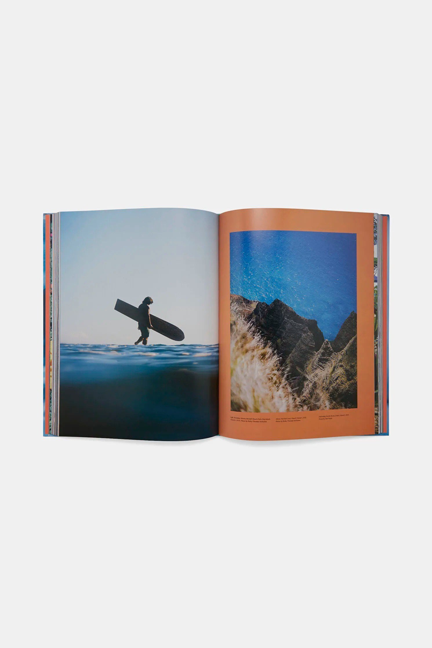 Hawaı Gold Kitap