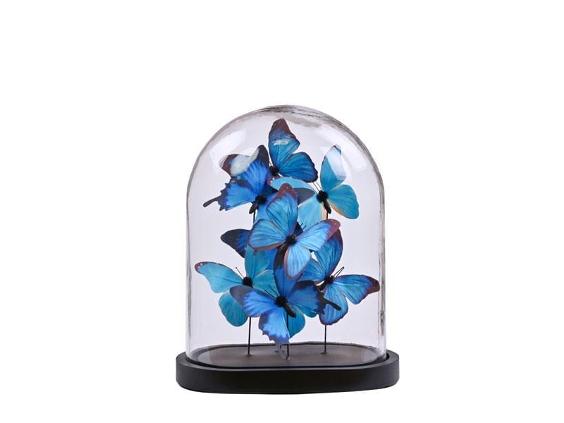 LMD BLUE BUTTERFILES IN FANUS LARGE 26,5X19X33 CM