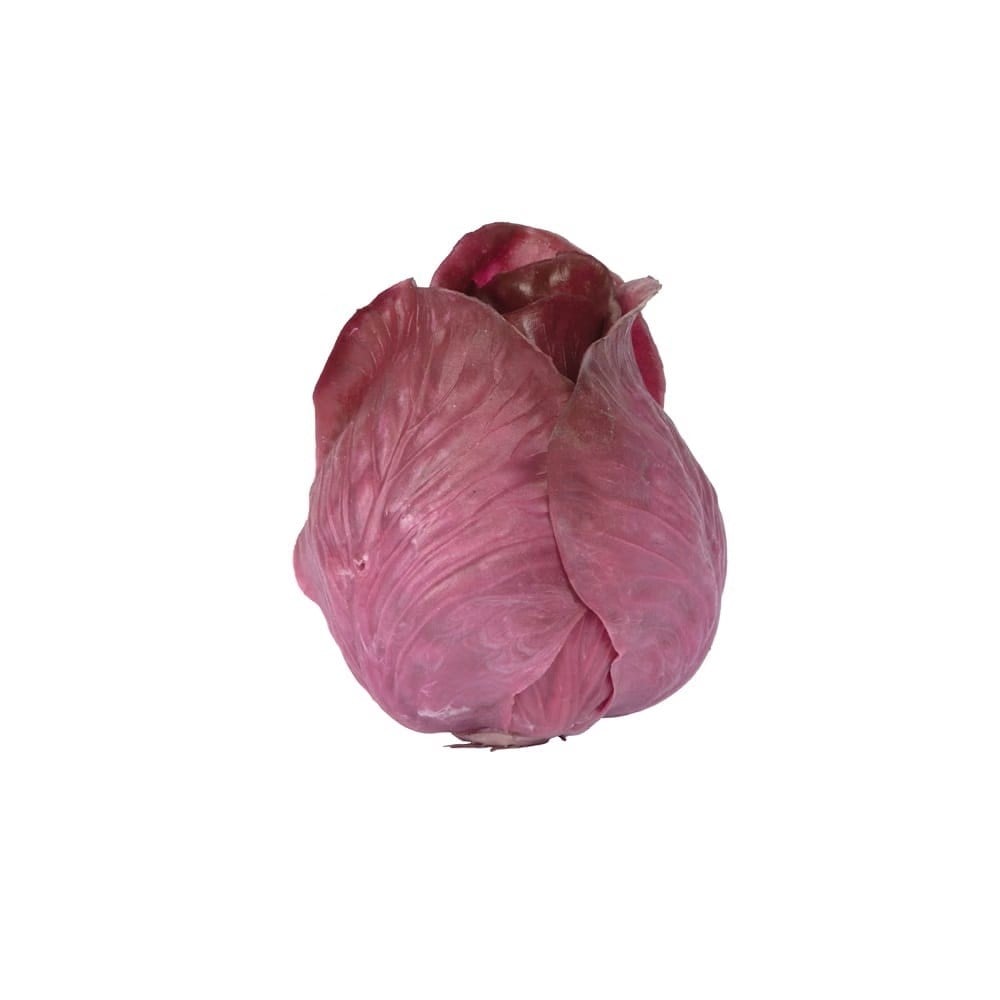 Marul 12cm