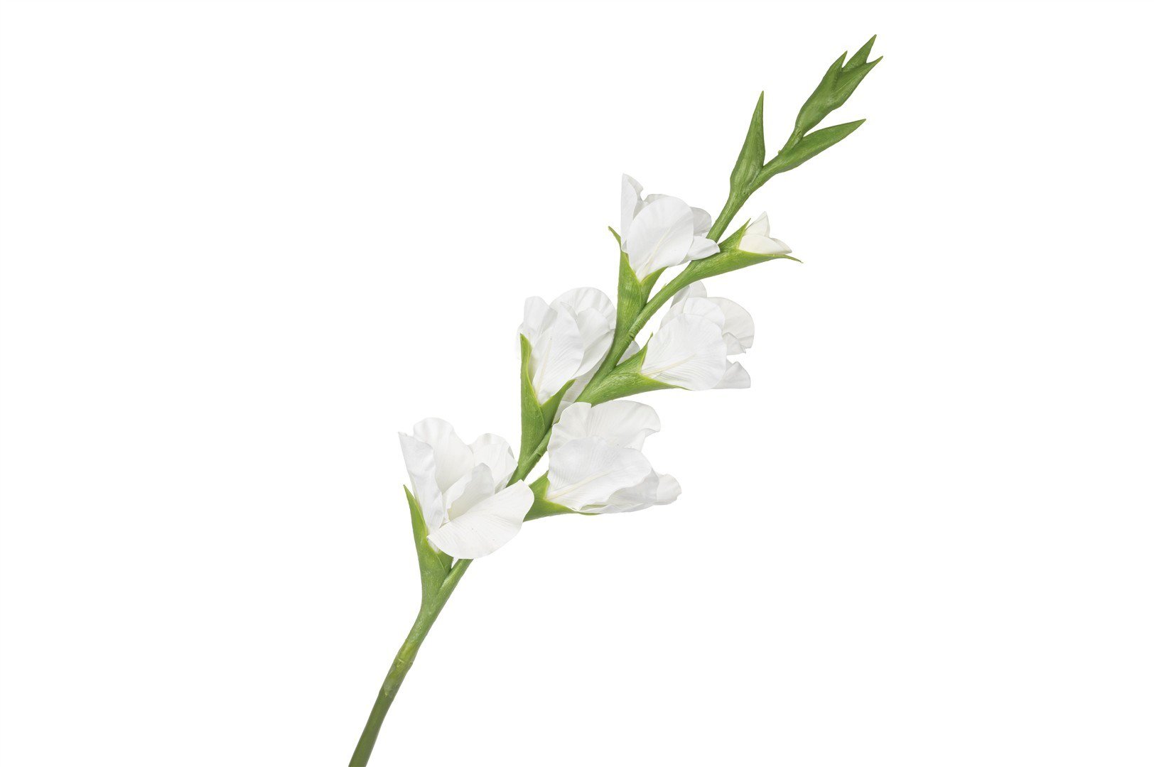 Mikasa Beyaz Yapay Glayöl 86cm
