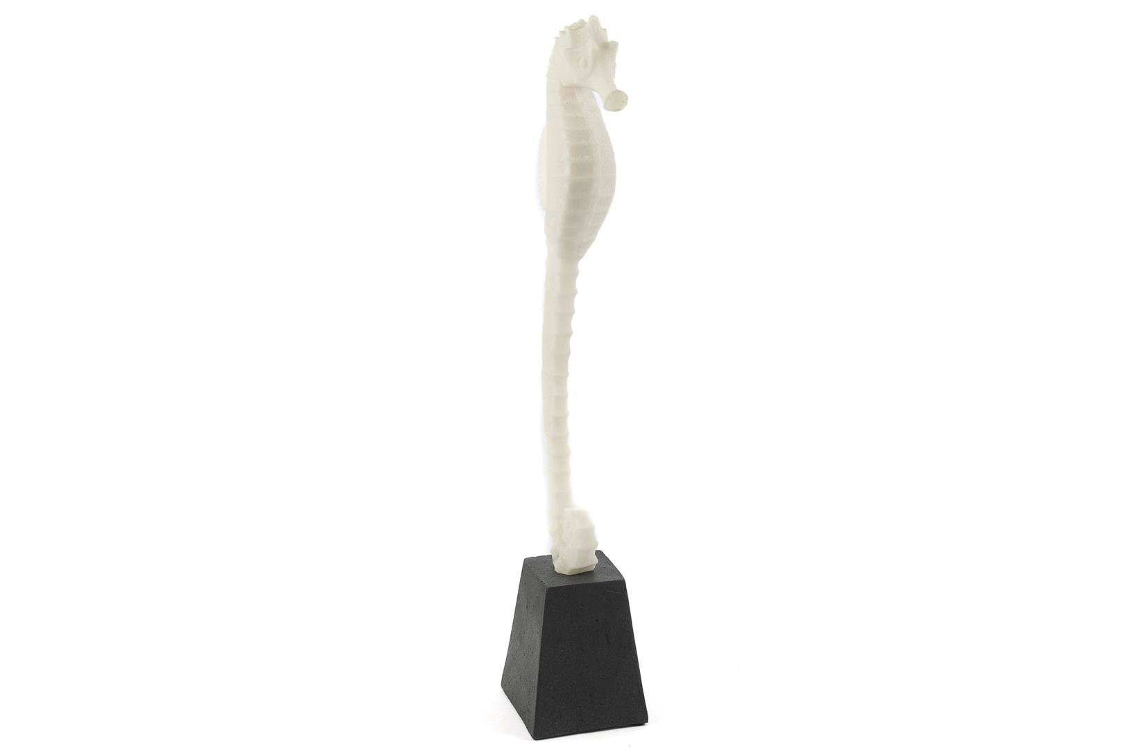 MİKASA BİBLO DENİZ ATI 13X51 CM