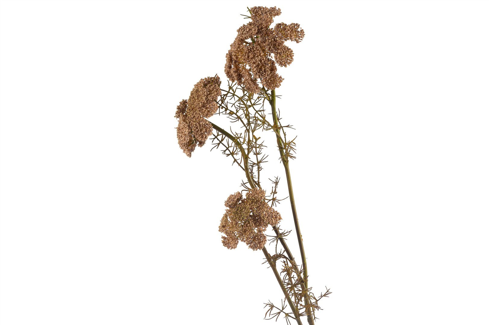 Mikasa Daucus Carota Yapay Çiçek 73cm