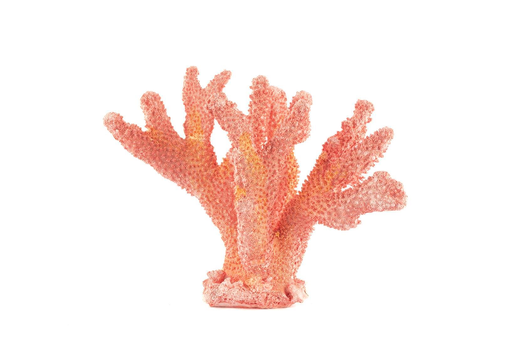 MİKASA PEMBE MERCAN 18X20CM