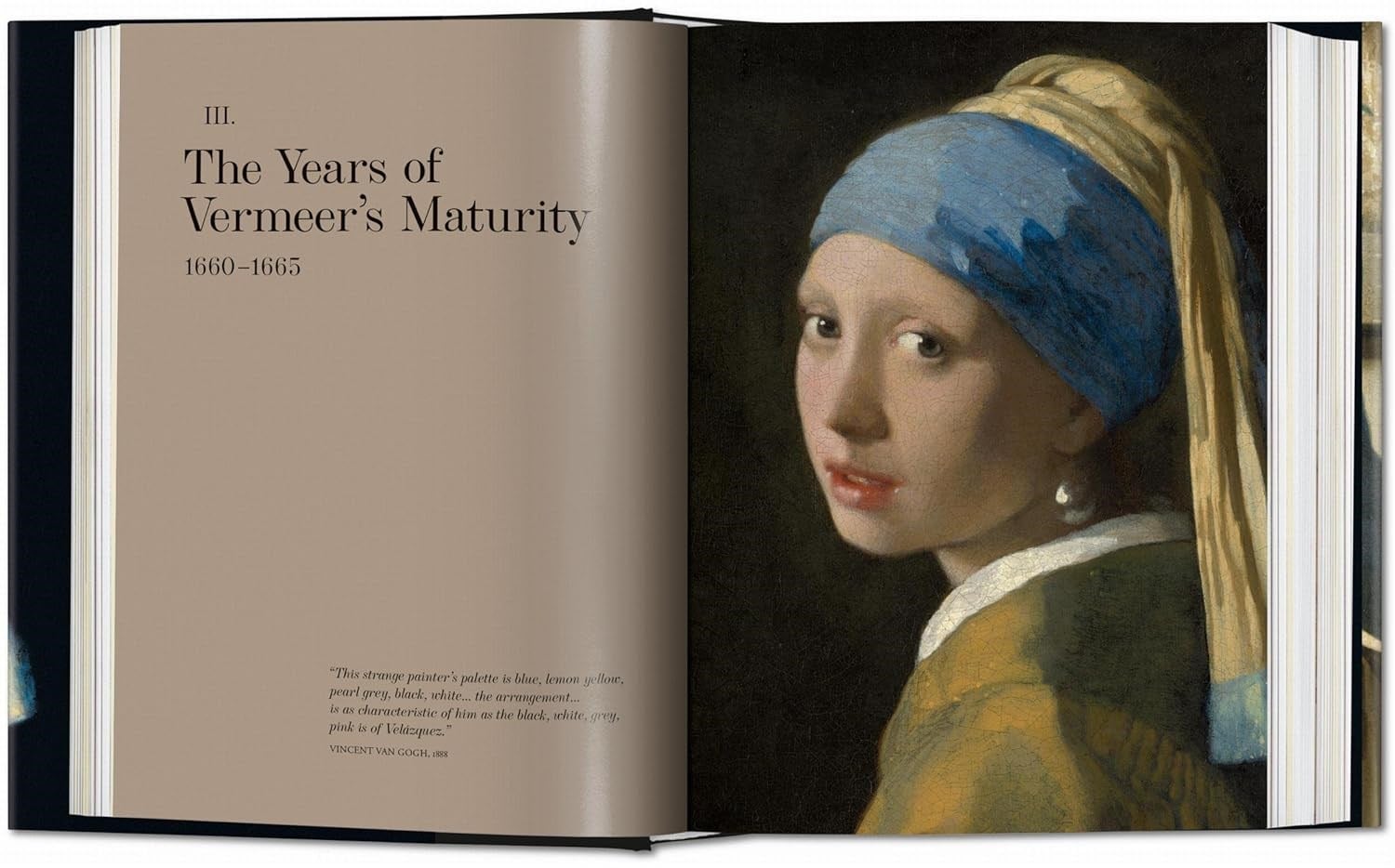 Vermeer Kitap