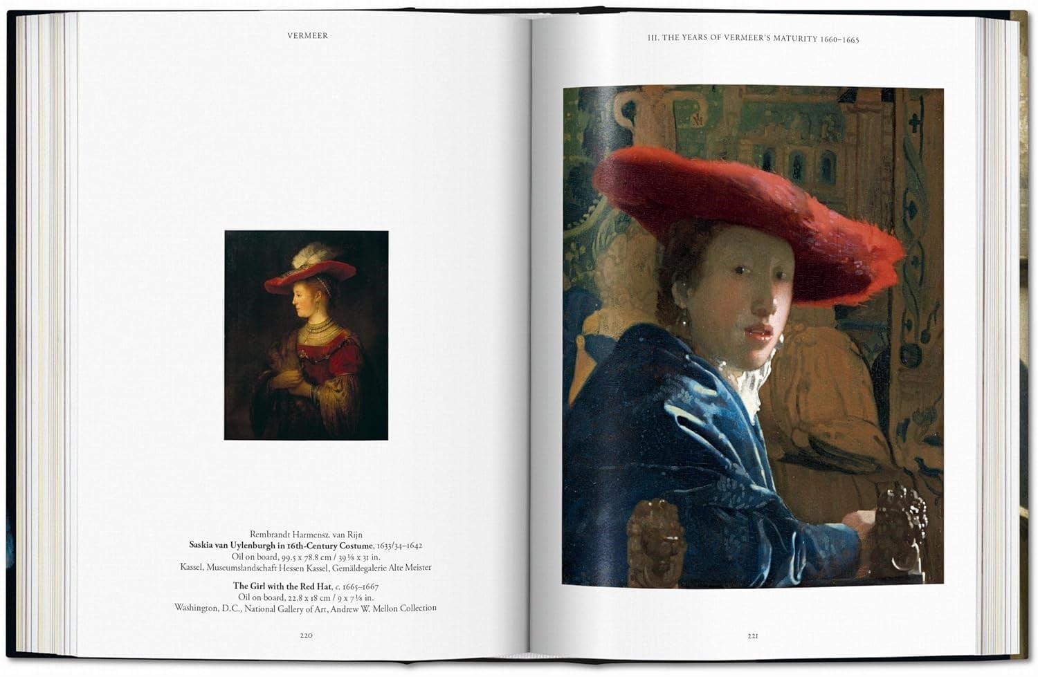 Vermeer Kitap