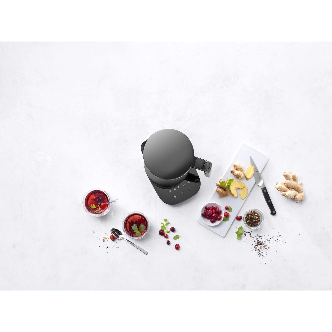ZWILLING 530060020 KETTLE PRO