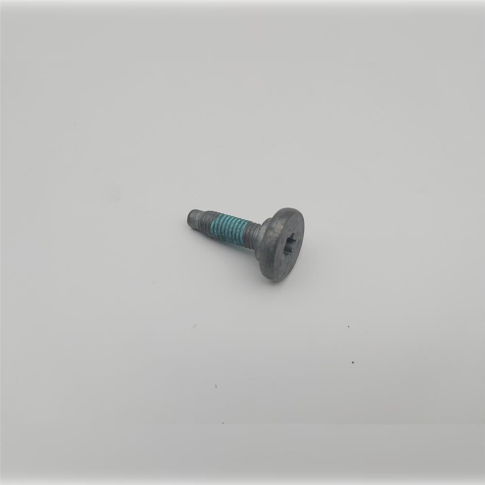 LR004693 YÜKSEK BASINÇ POMPASI TORX CİVATA