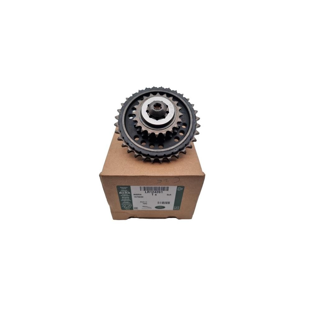 LR124261 ZAMANLAMA ZİNCİRİ