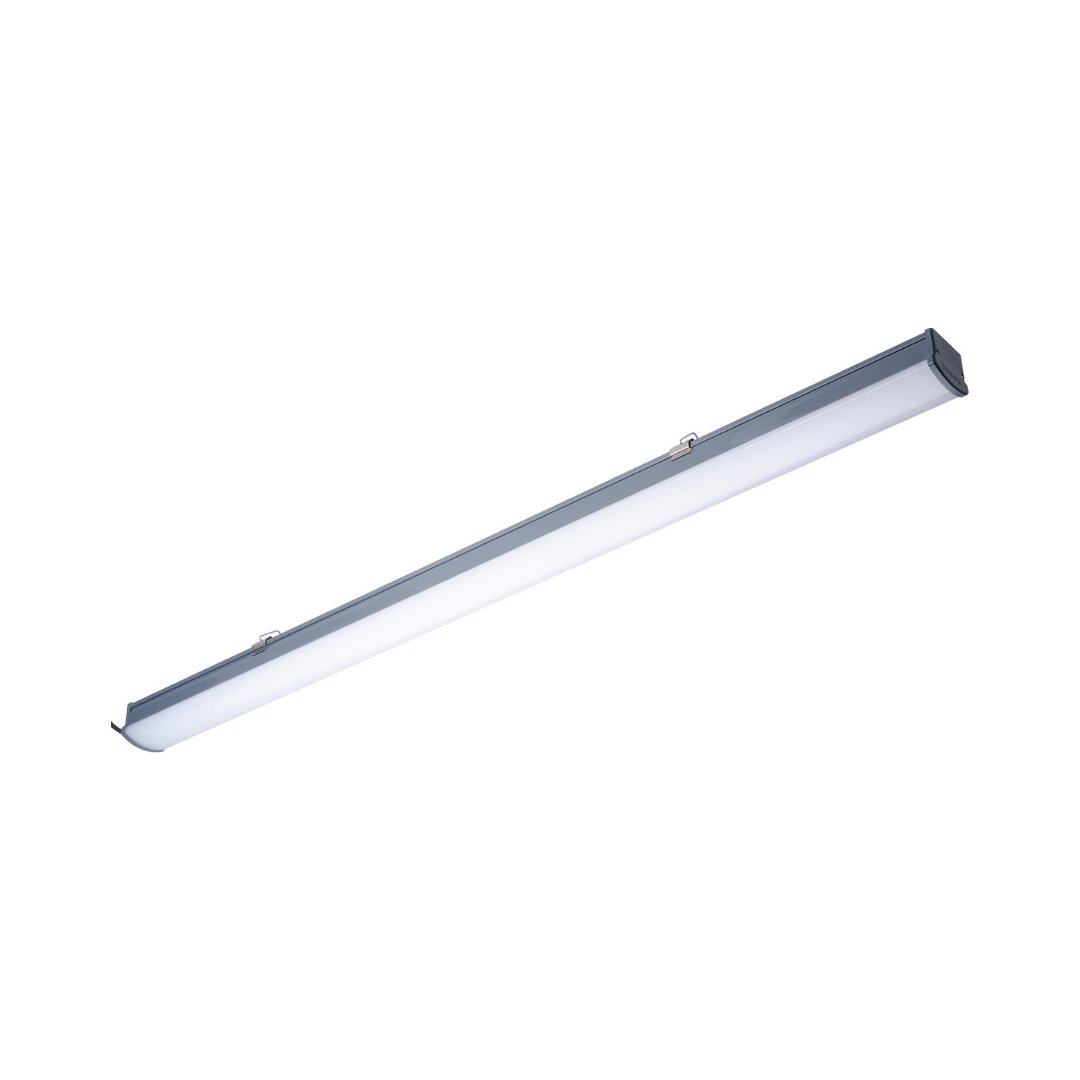 Philips WT066C LED56 4000K IP65 L1500 LED Etanj