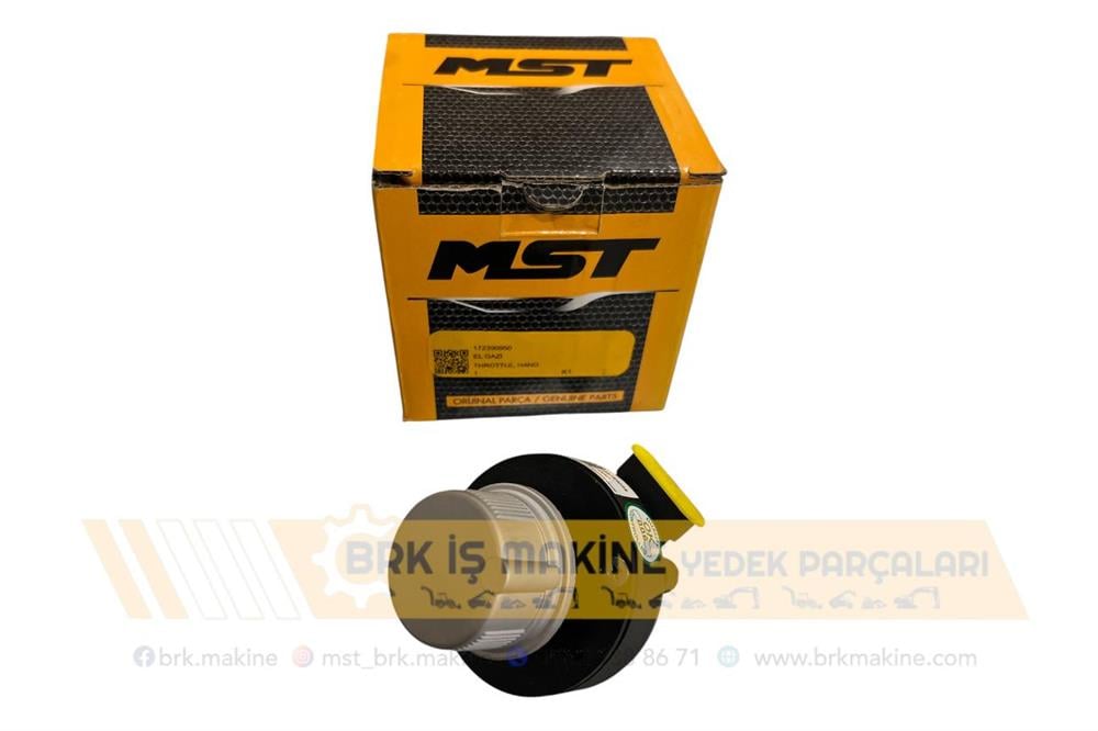 EL GAZI MST