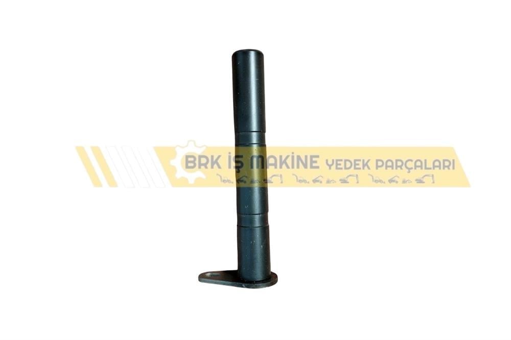 ŞAPKALI PİM