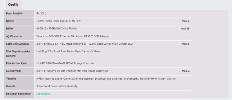 HPE DL380 Gen11 Silver 4510-64G-2x960G-2U (P71674)