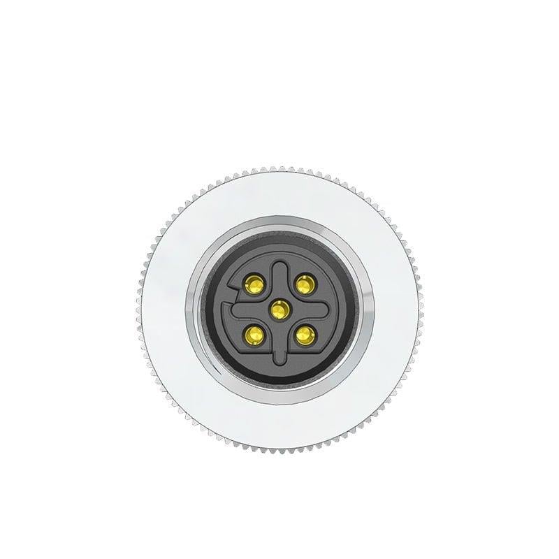M12 D Code 5 Pin Dişi Düz Metal Konnektör - Velledq M12P-DF05T
