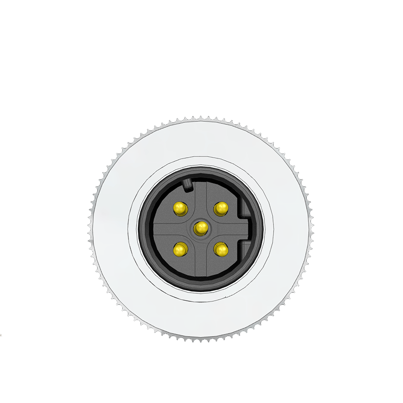 M12 D Code 5 Pin Erkek Düz Konnektör - Velledq M12-DM05T