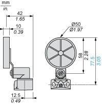 XCKP2139P16 Açısal Hareketli Makaralı Kollu Limit Siviç - Switch