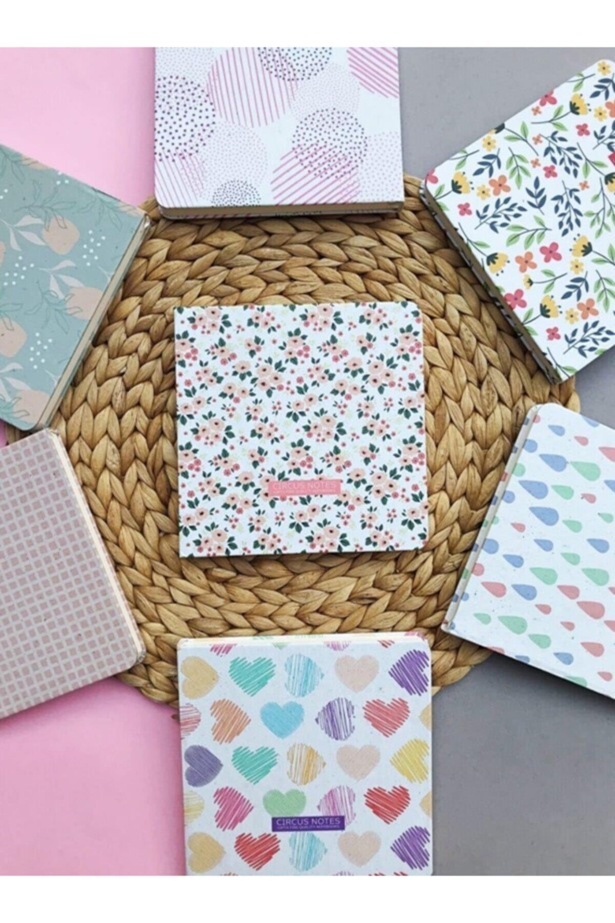 Cırcus Notes Ip.dk.sert Kapak Defter 15x15-120yp Çizgisiz