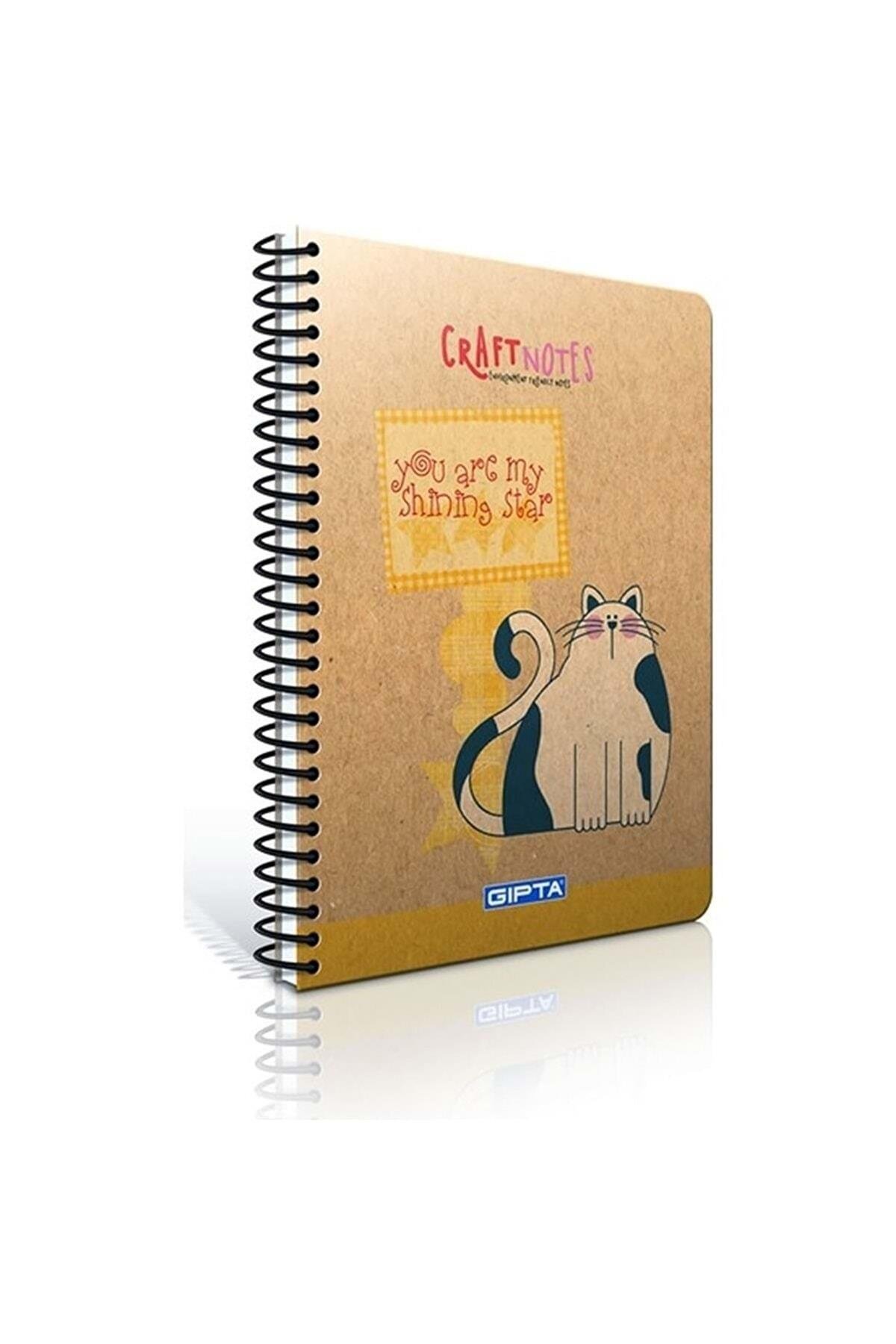 Craft Notes Spiral Sert Kapaklı Defter (a6)-100 Yaprak ( Kareli ) (stand)