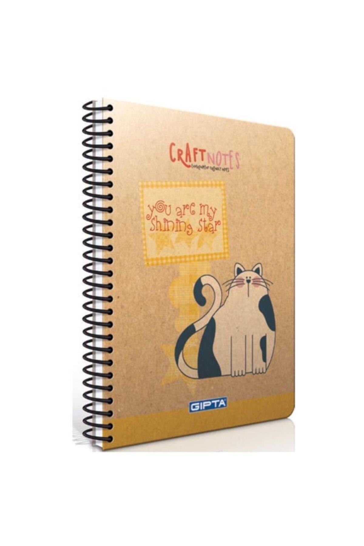 Craft Notes Spr. Sert Kapak A6 100yp. Kareli Not Defteri