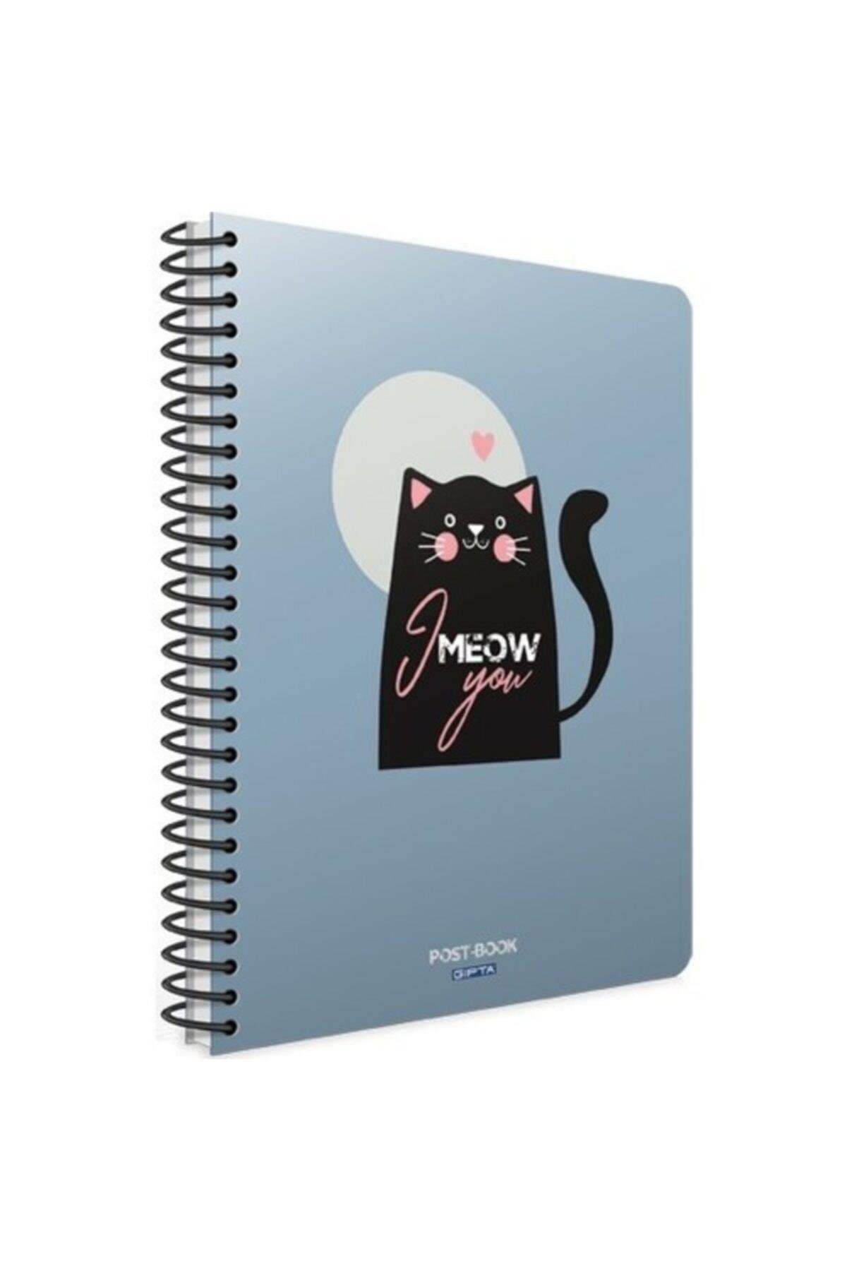 Mavi Post-book Spiralli Karton Kapak Kareli Defter 17x24 80yp