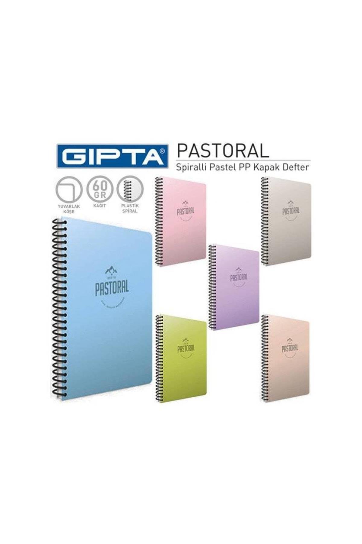 Pastoral Sp.pp Kapak Defter 17x24 96 Yp Çizgisiz 3616 (adet Fiyatı, Karışık Renk)