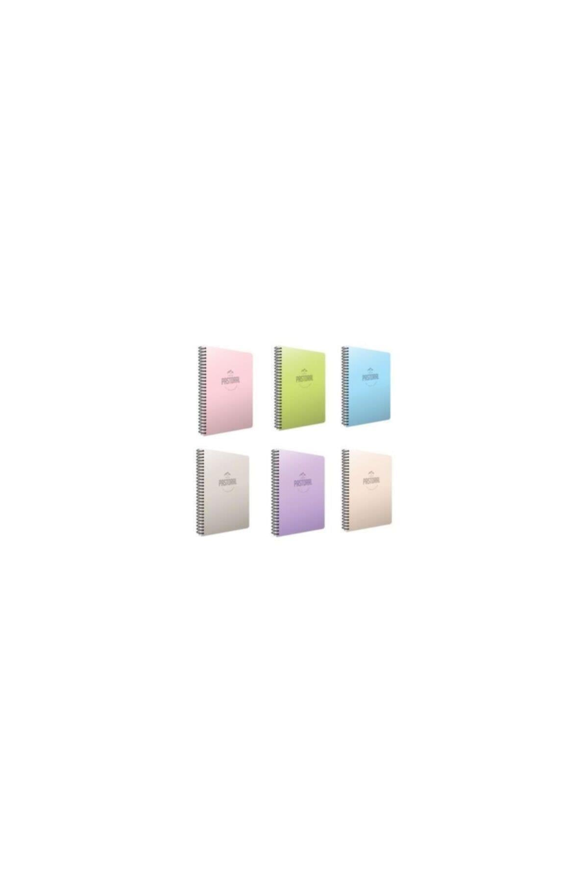 Pastoral Spiralli Pp Kapak Defter A4 60 Yaprak - 3 Kareli , 3 Çizgili 6'lı