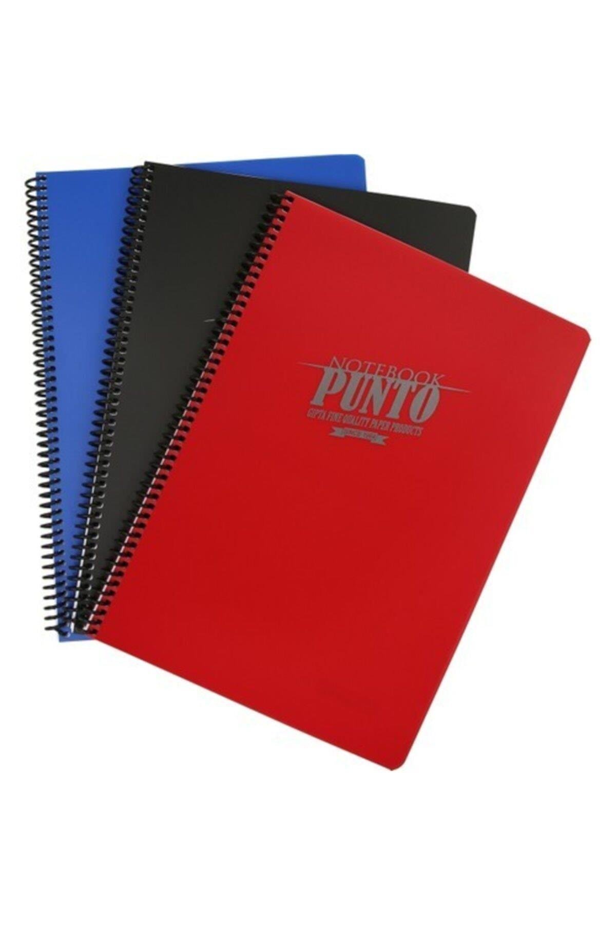 Punto A4 Spiralli Defter Pp Kapak Çizgili 80 Yaprak (12 Li Paket) 6534
