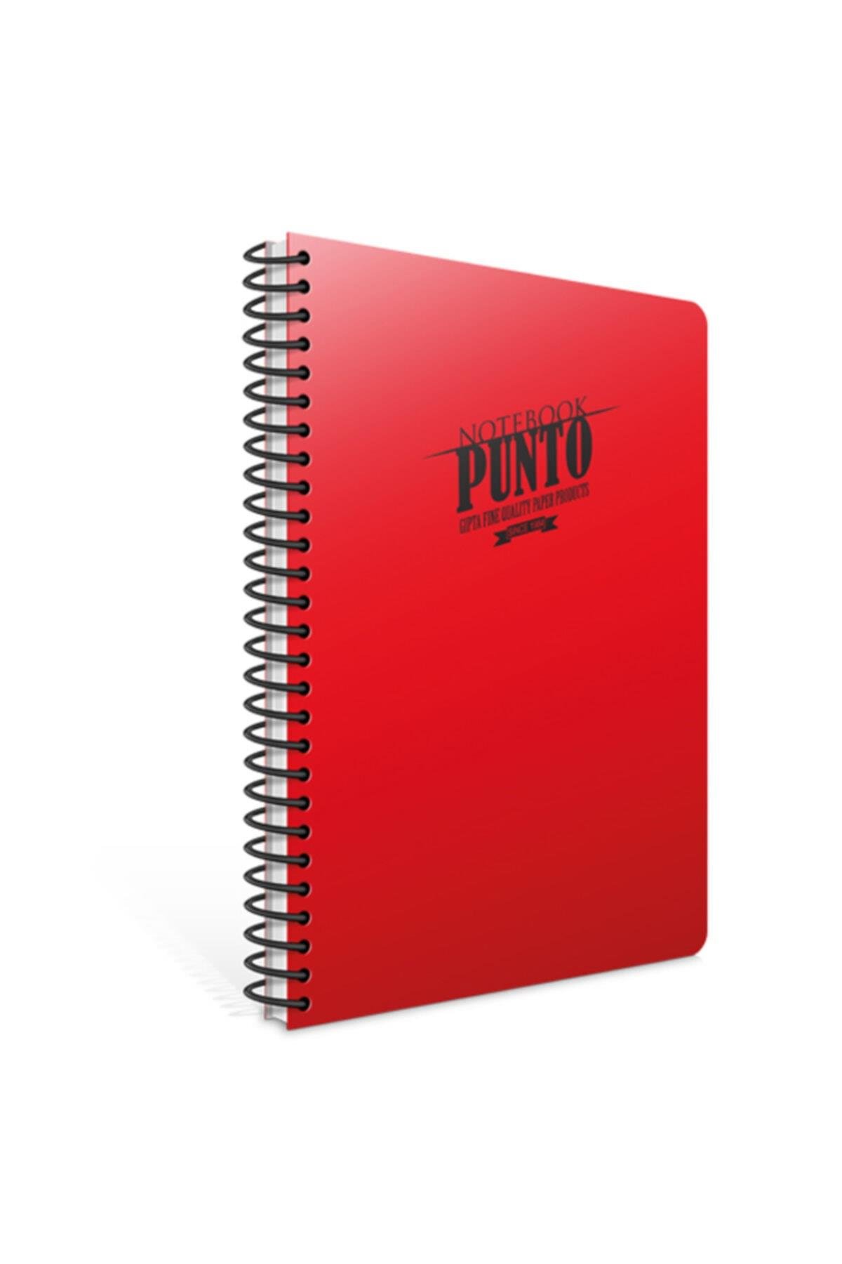 Spiralli Defter Punto Plastik Kapak Çizgili 100 Yp A4 3-6536000-2011