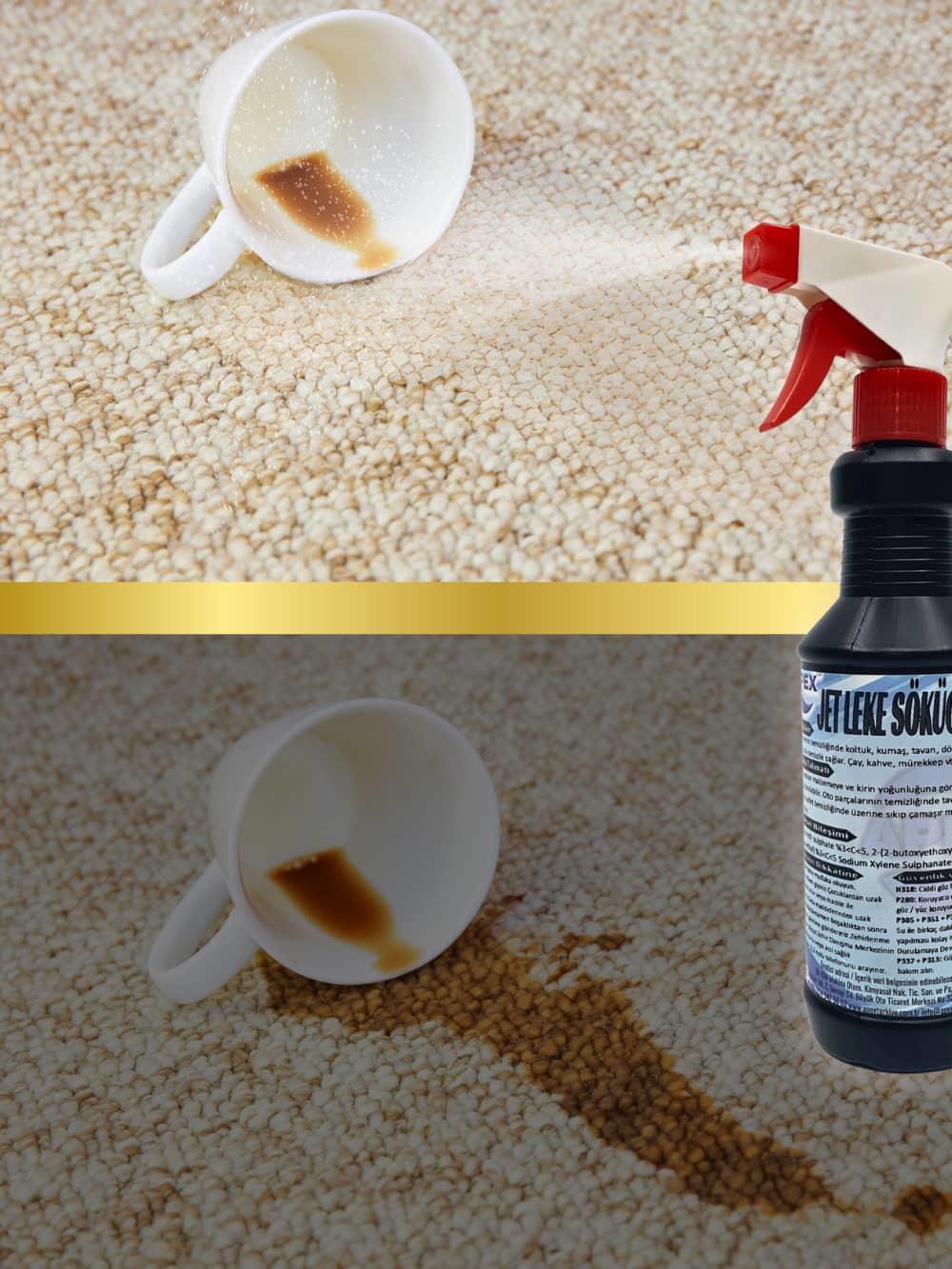 halı ve koltuk temizleyici