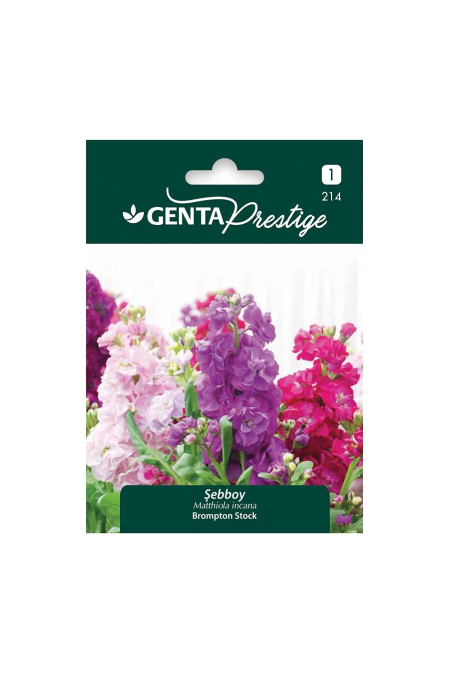 Genta Prestige Margrit Papatya/Alman Papatyası Tohumu