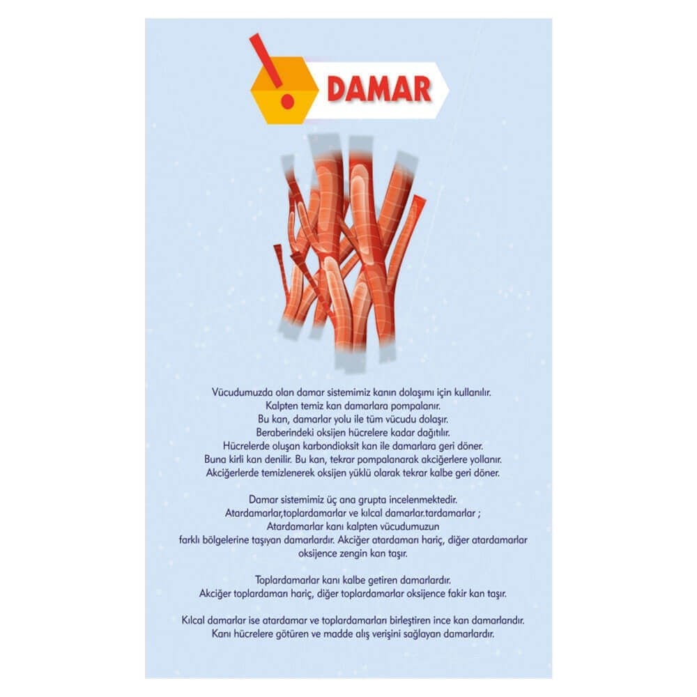 Damar Afişi